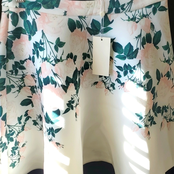 Erin by Erin Fetherston Sweetheart Roses Skirt - Picture 2 of 7